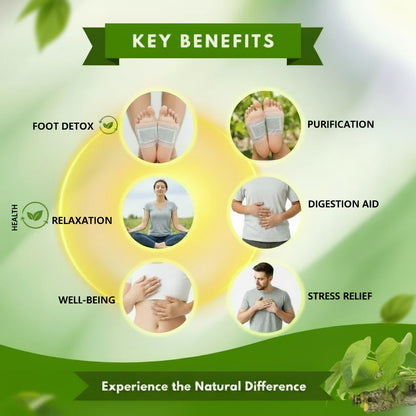 Herbal Giloy Detox Foot Patches Buy 20 Get 20 (Pack of 40)
