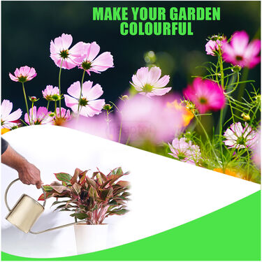 Mix Flower Seeds Combo Pack – Create a Beautiful Blooming Garden